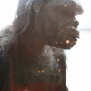 ape stanley kubrick exhibition at tiff bell lightbox