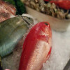 miku restaurant fresh fish