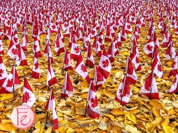 Manulife Financial Corporation Honours Remembrance Day with Canadian flag display / 宏利金融公司國旗展慶祝加拿大國殤紀念日